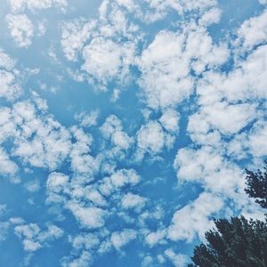 Meet your Posher, Kenna